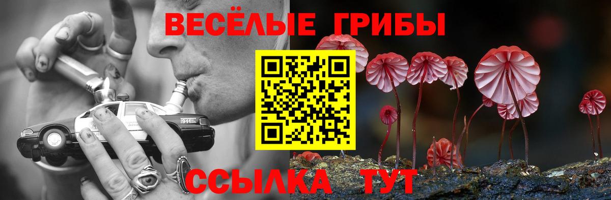 Псилоцибиновые грибы MAGIC MUSHROOMS Киржач